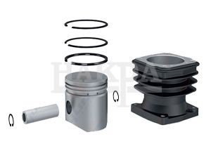 -IVECO-CYLINDER LINER SET (75)